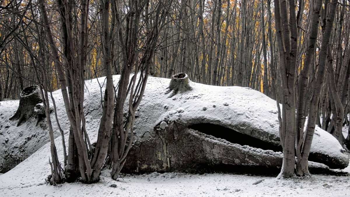 Кит в лесу скульптура
