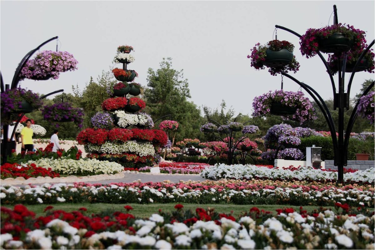 Al Ain Paradise парк