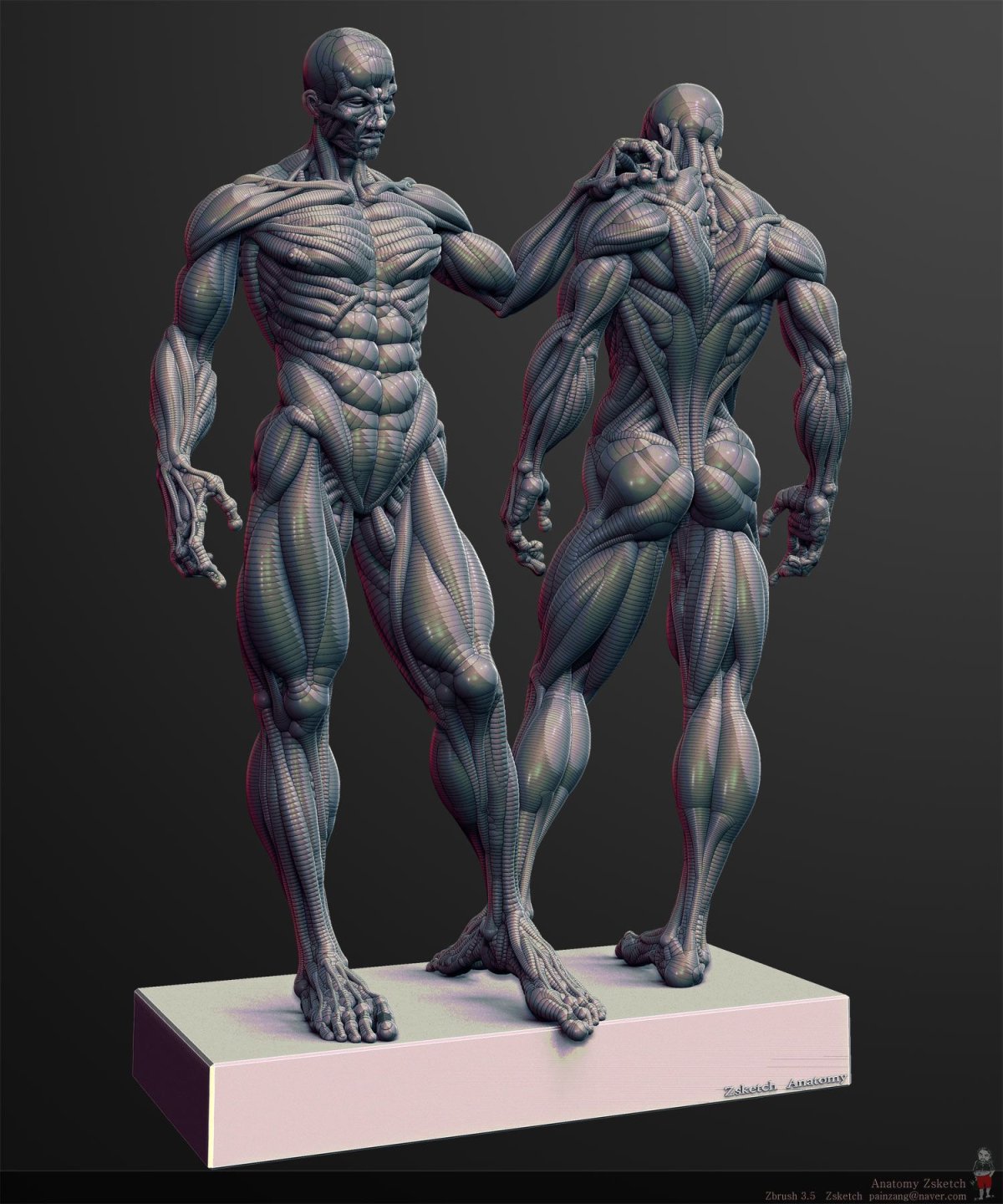 Zbrush анатомия человека