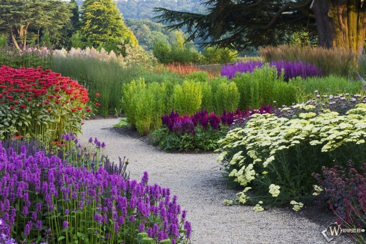 Russia has many beautiful Plants and Flowers and one of the prettiest