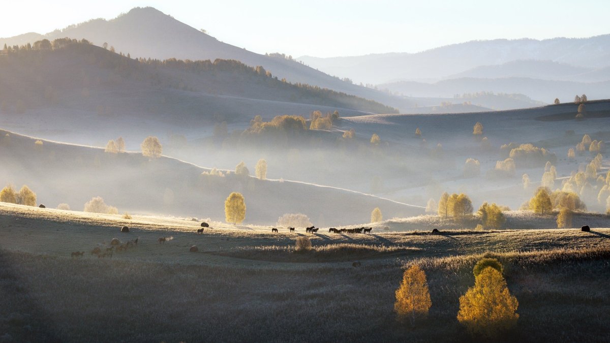 Утро на Алтае фото