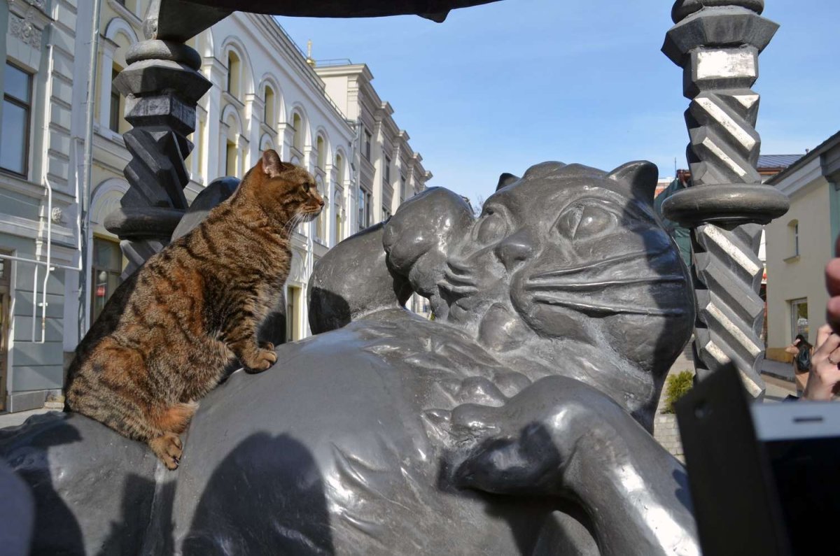 Казанский кот скульптура