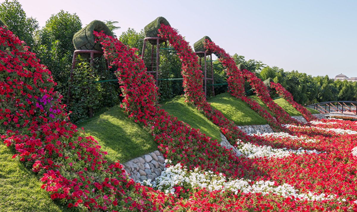 Miracle Garden Дубай