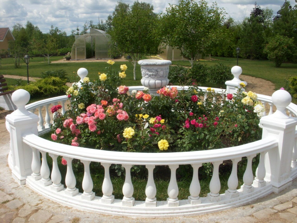 Красивые клумбы с розами