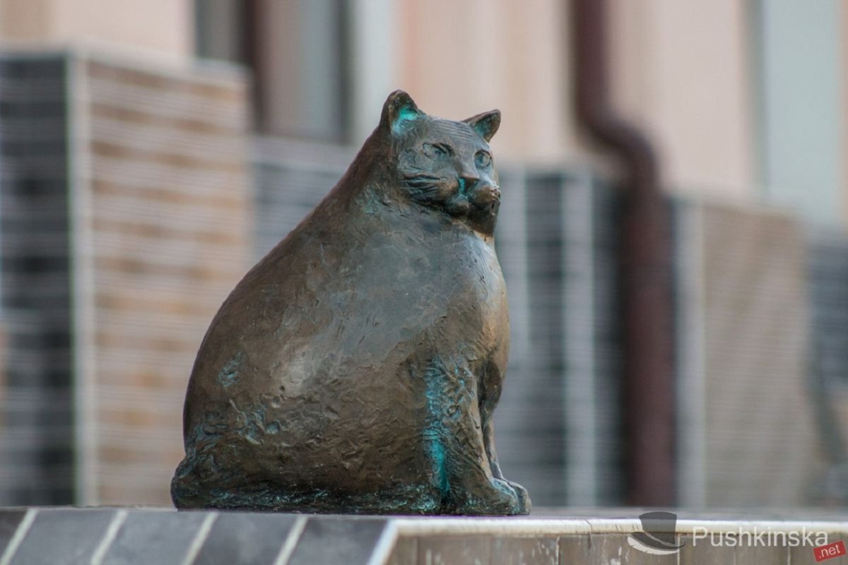 Кот Базарина