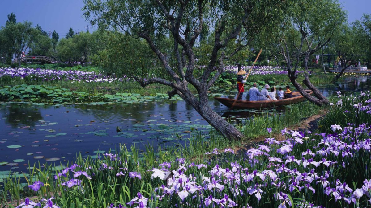 Suigō Sawara Aquatic Botanical Garden (水郷佐原水文植物園