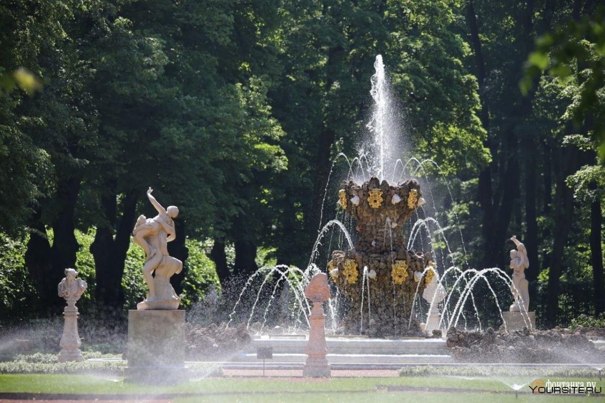 Коронный фонтан в летнем саду