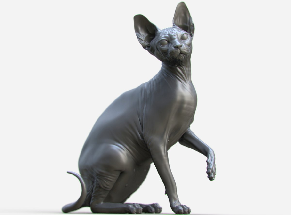 Sphynx Cat Cat 3 d модель