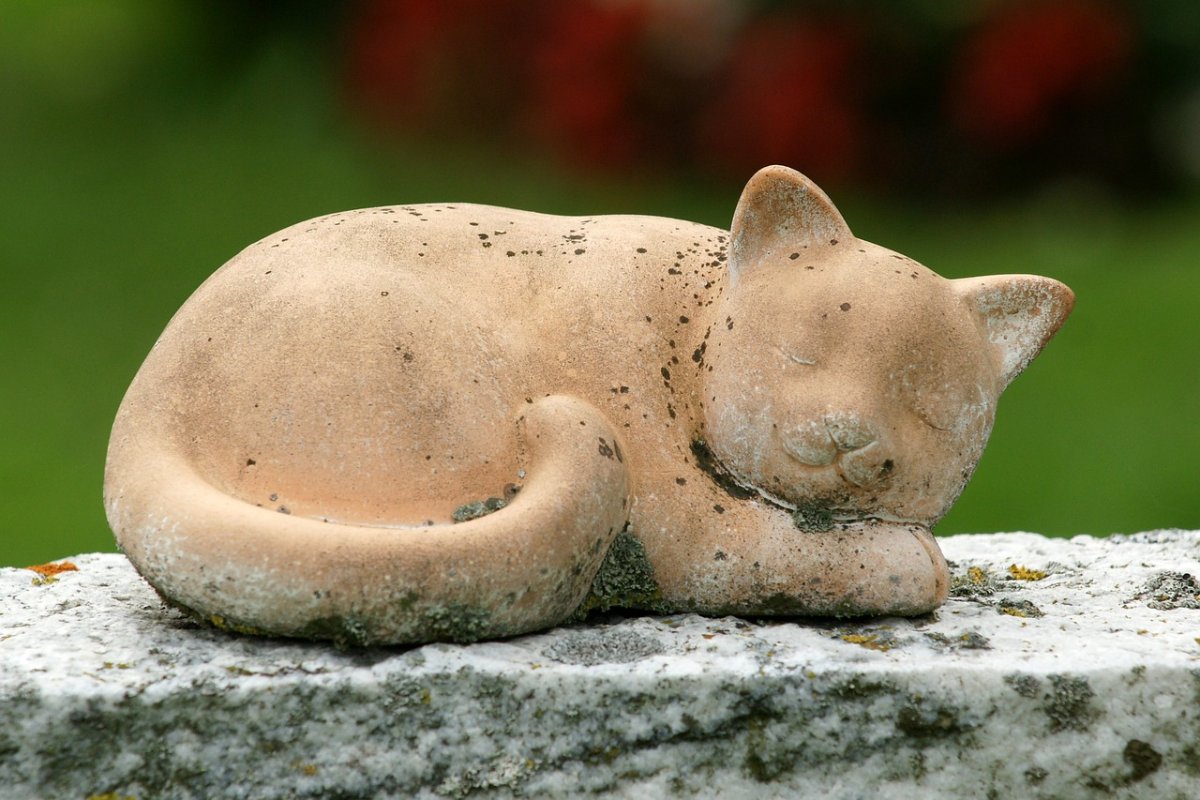 Каменный кот