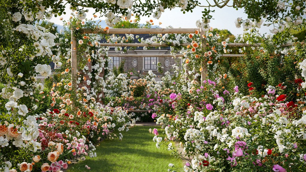Розы Skygarden