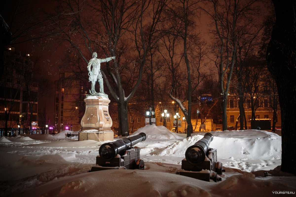 Петровский сквер памятник Петру Воронеж