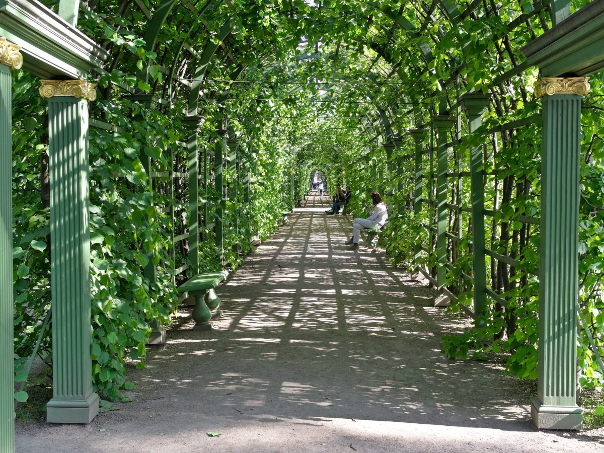 Летний сад в Санкт-Петербурге