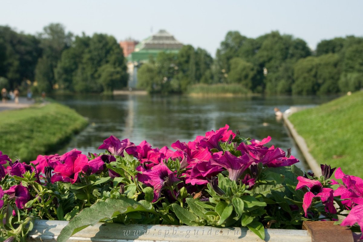Таврический сад в Санкт-Петербурге