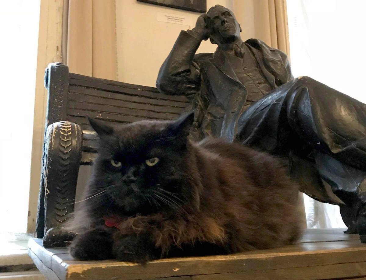 Кот Бегемот Булгаковский дом