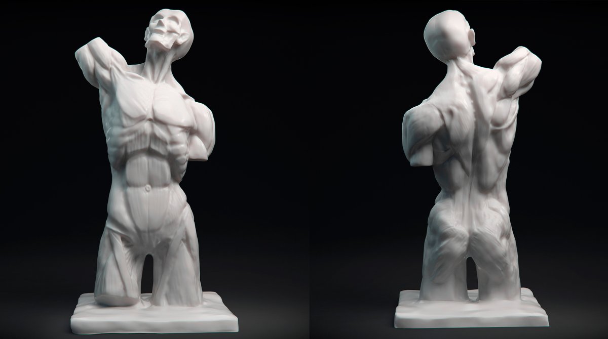 Мюнхенский торс 3d