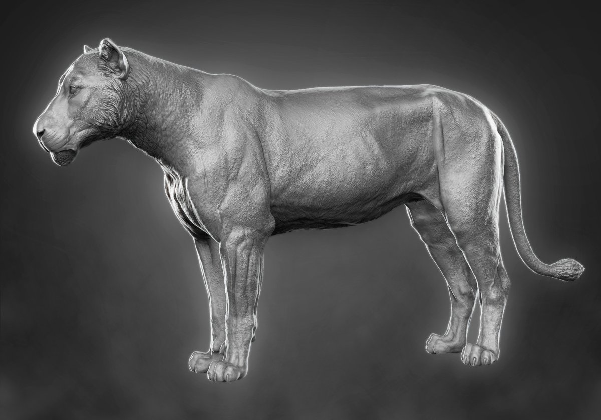 Zbrush Лев