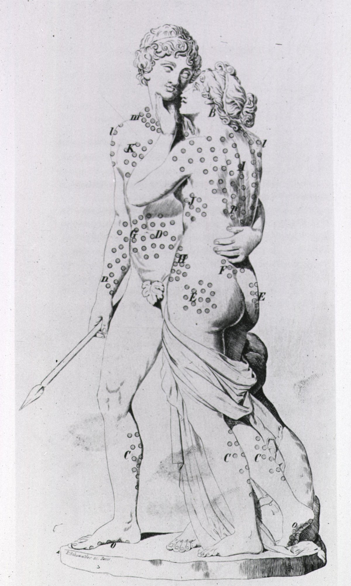 "Венера и адонис" (1610)