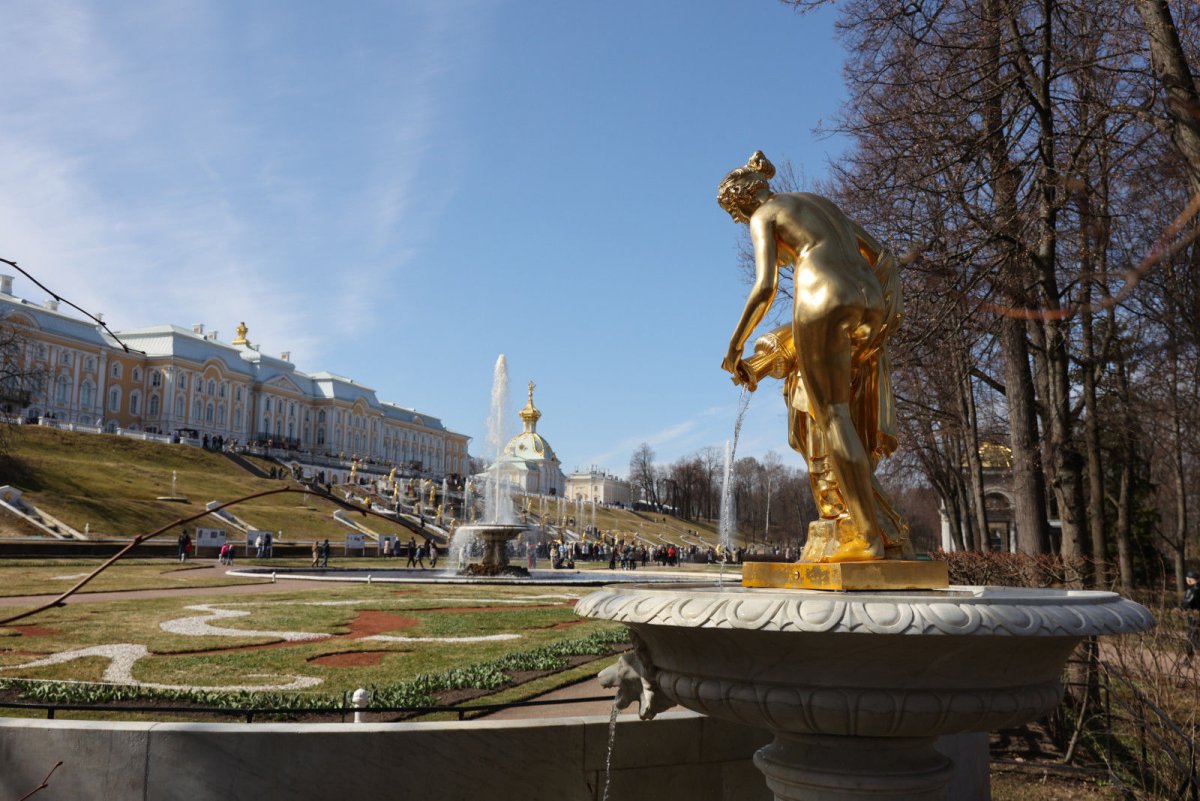 Окружение Питера в картинках