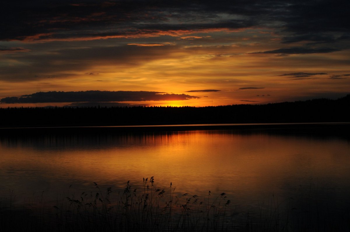 Сумерки природа