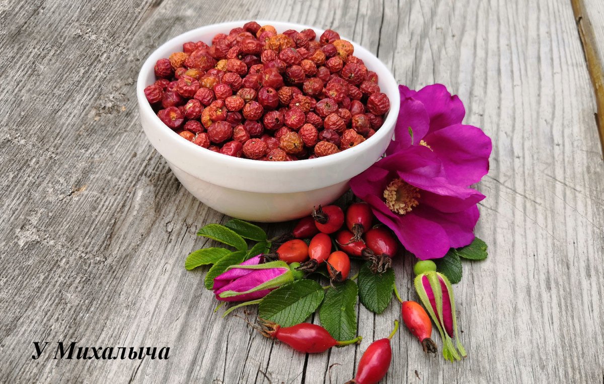 Шиповник (сушёный)