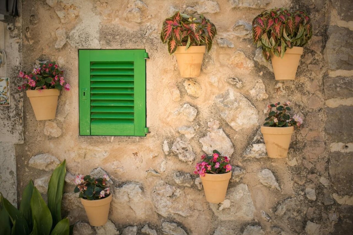 Flowers on the Walls of Houses