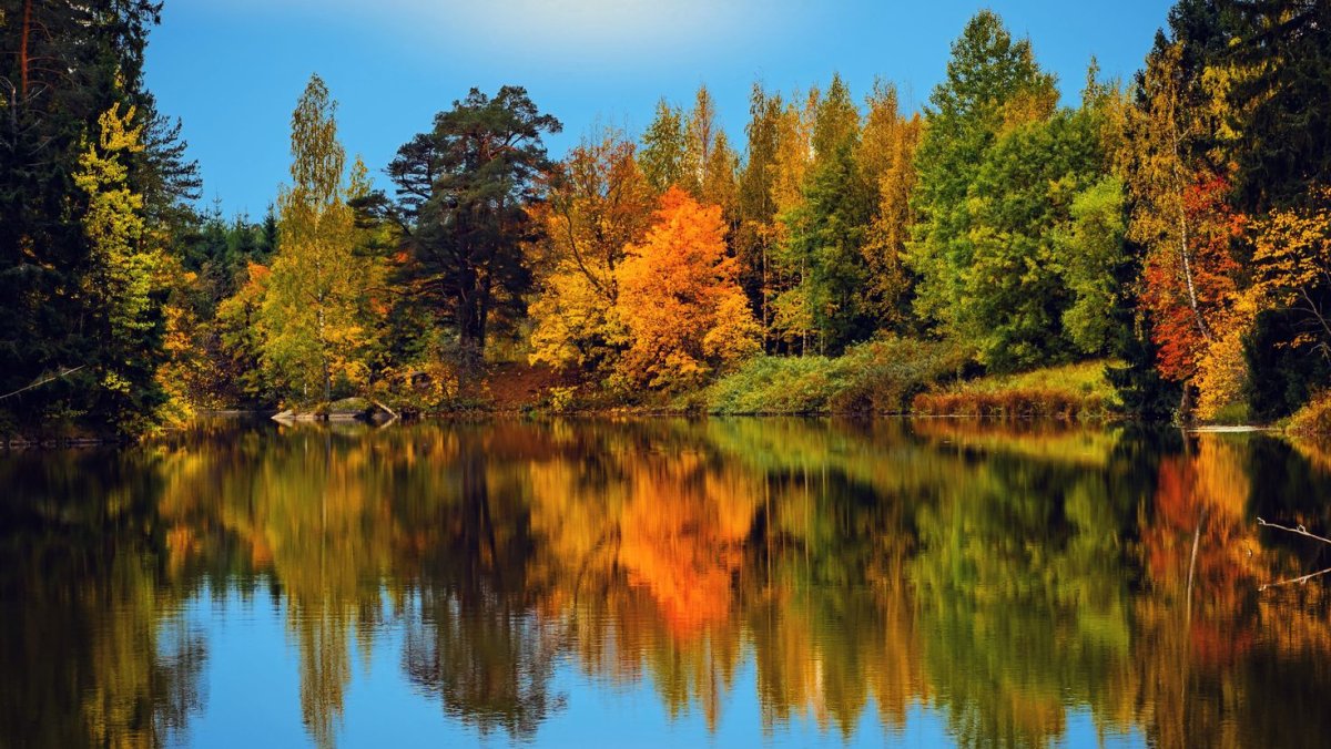 Природа Финляндии летом