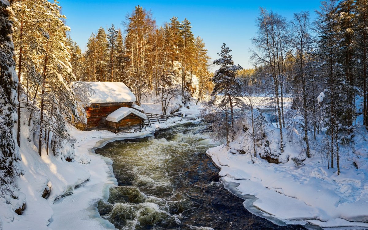 Зимний лес с рекой