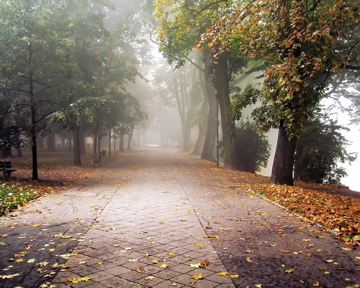 Улица осень