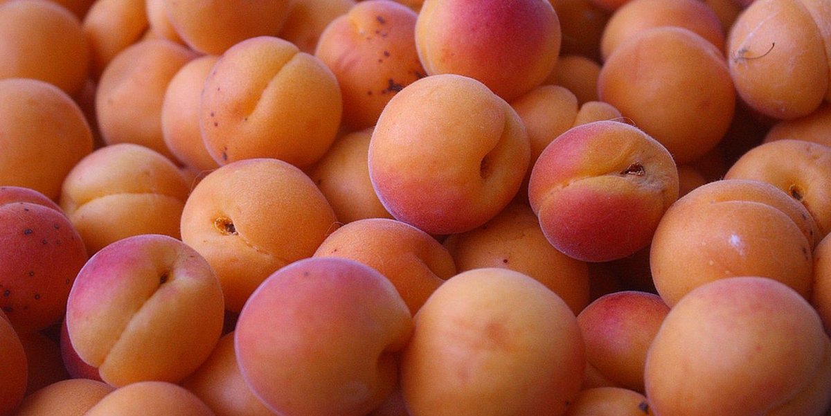 Абрикос Гвиани