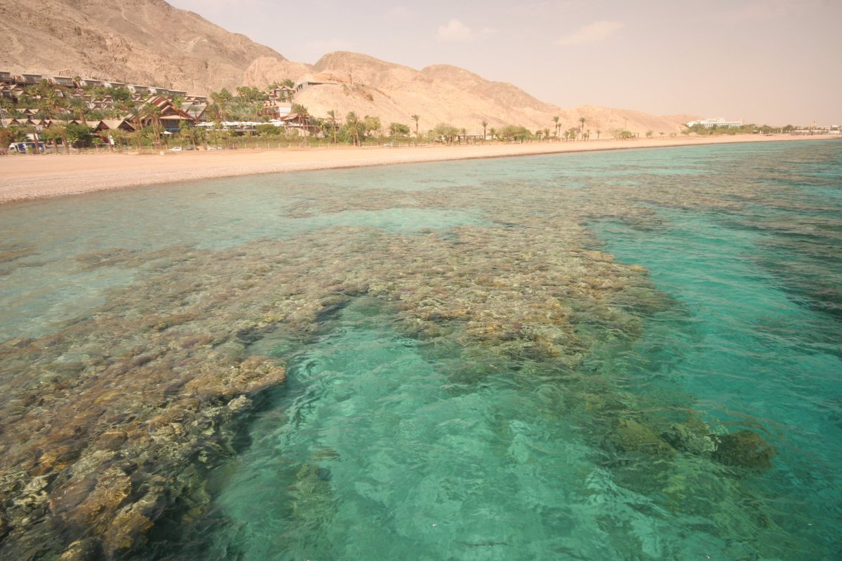 Израиль красное море