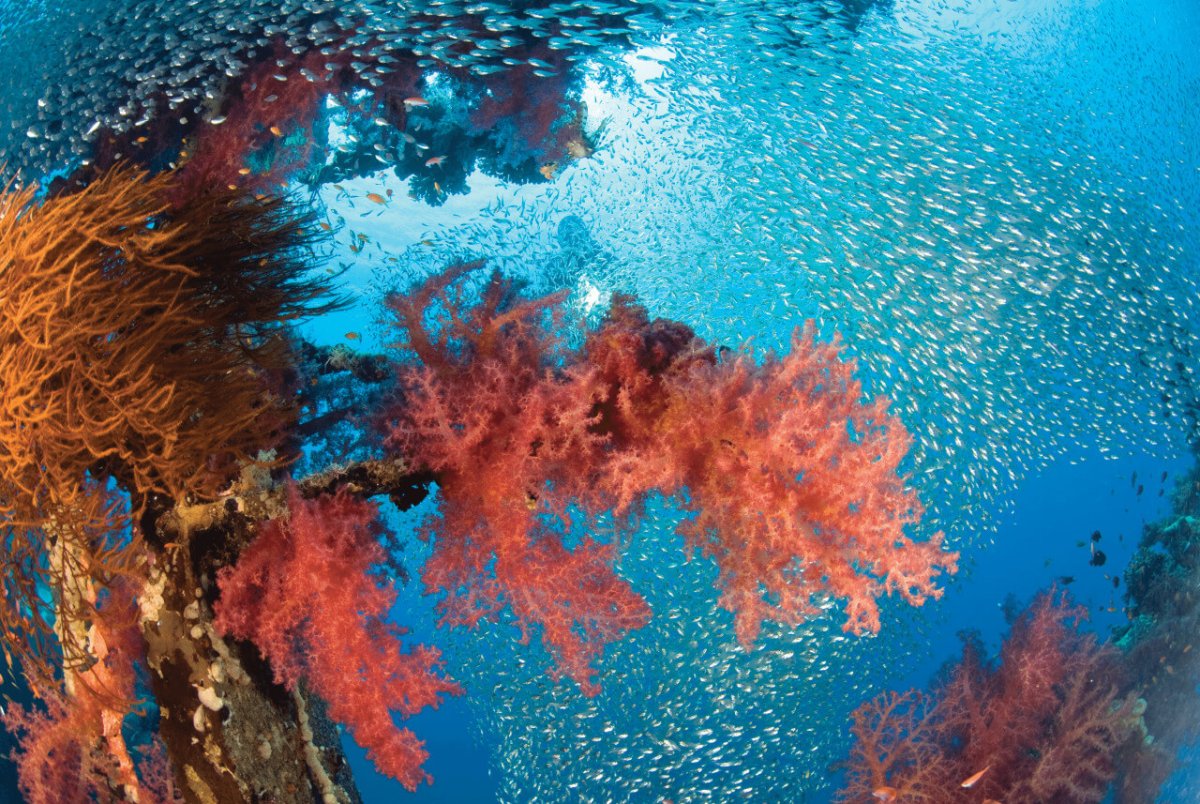 Фото яркие краски морей