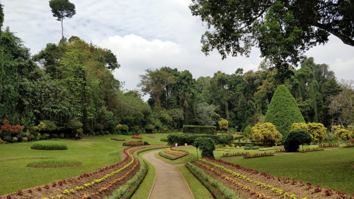 South Carolina Botanical Garden Южная Каролина