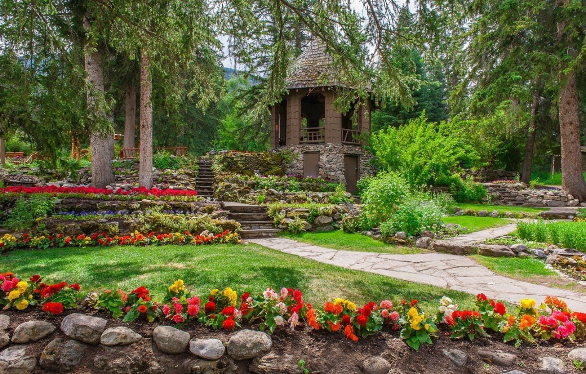 Цветы сад природа парк