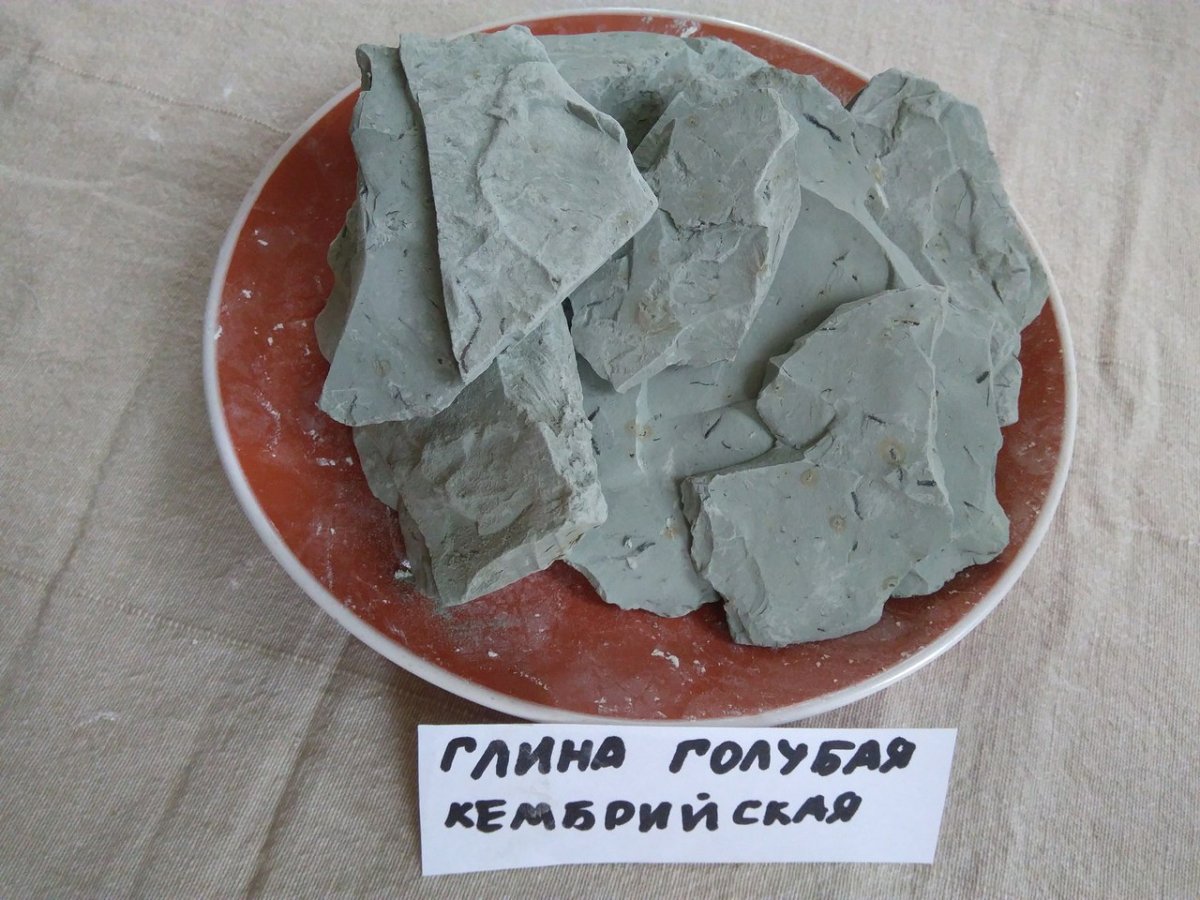 Кембрийская голубая глина Ленинград