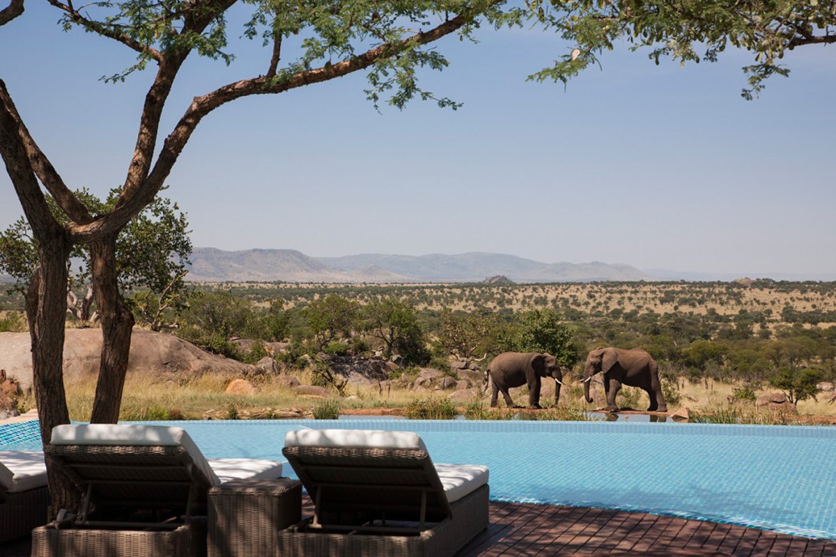 Танзания отель four Seasons Safari Lodge