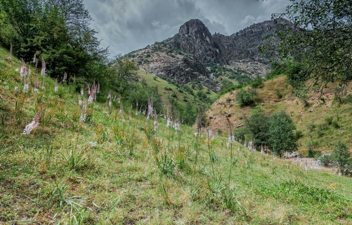 Змеиное ущелье Дагестан