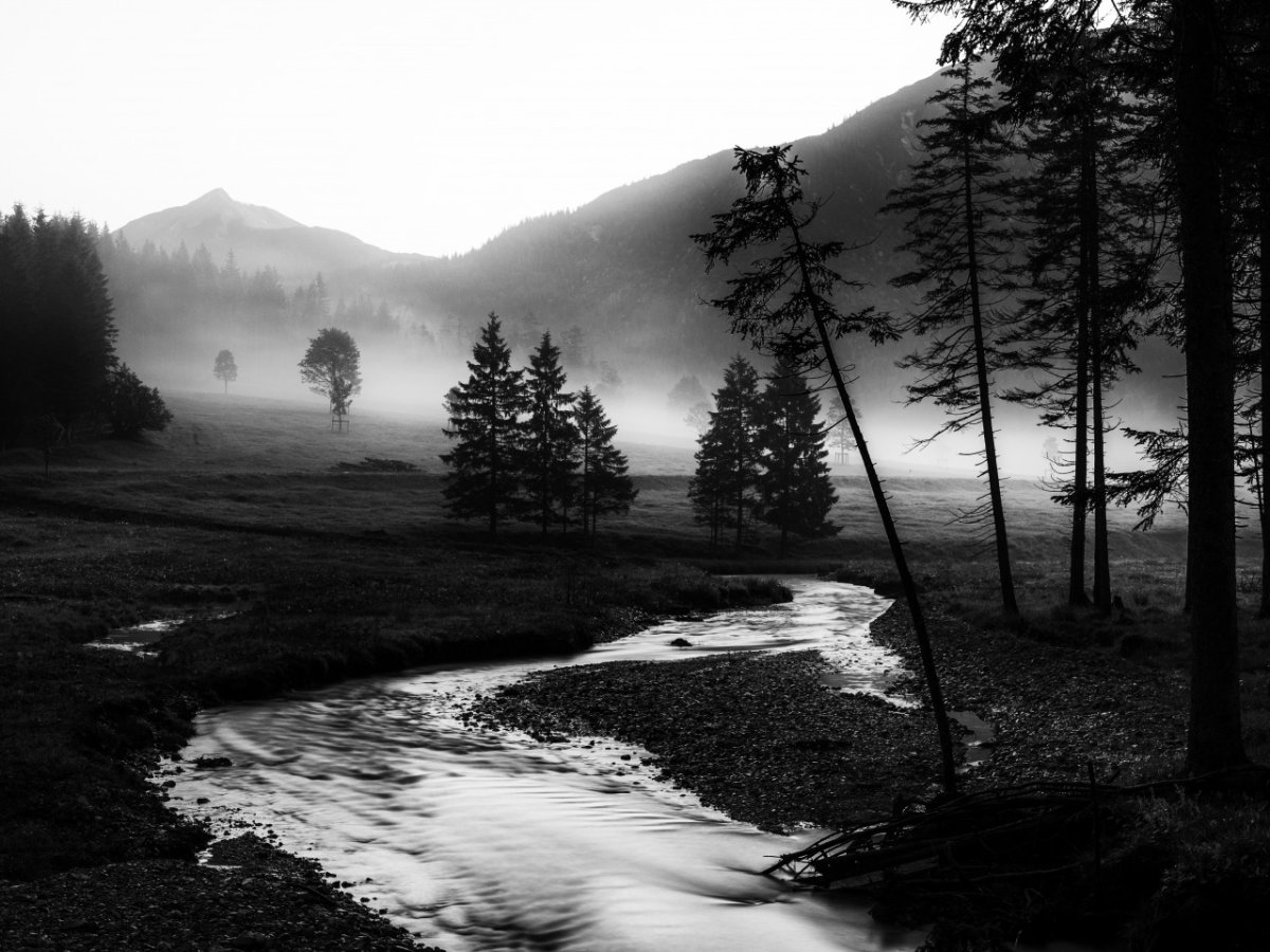Природа горы лес