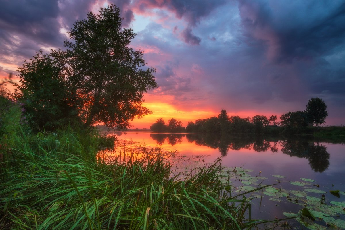 Смоленск природа