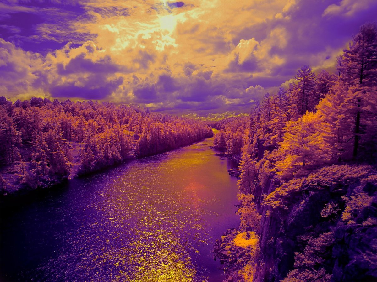 Красивая природа