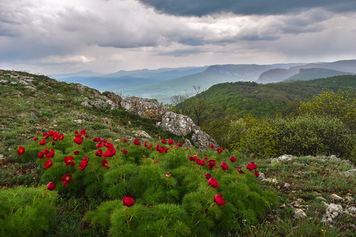 Природа горного Крыма
