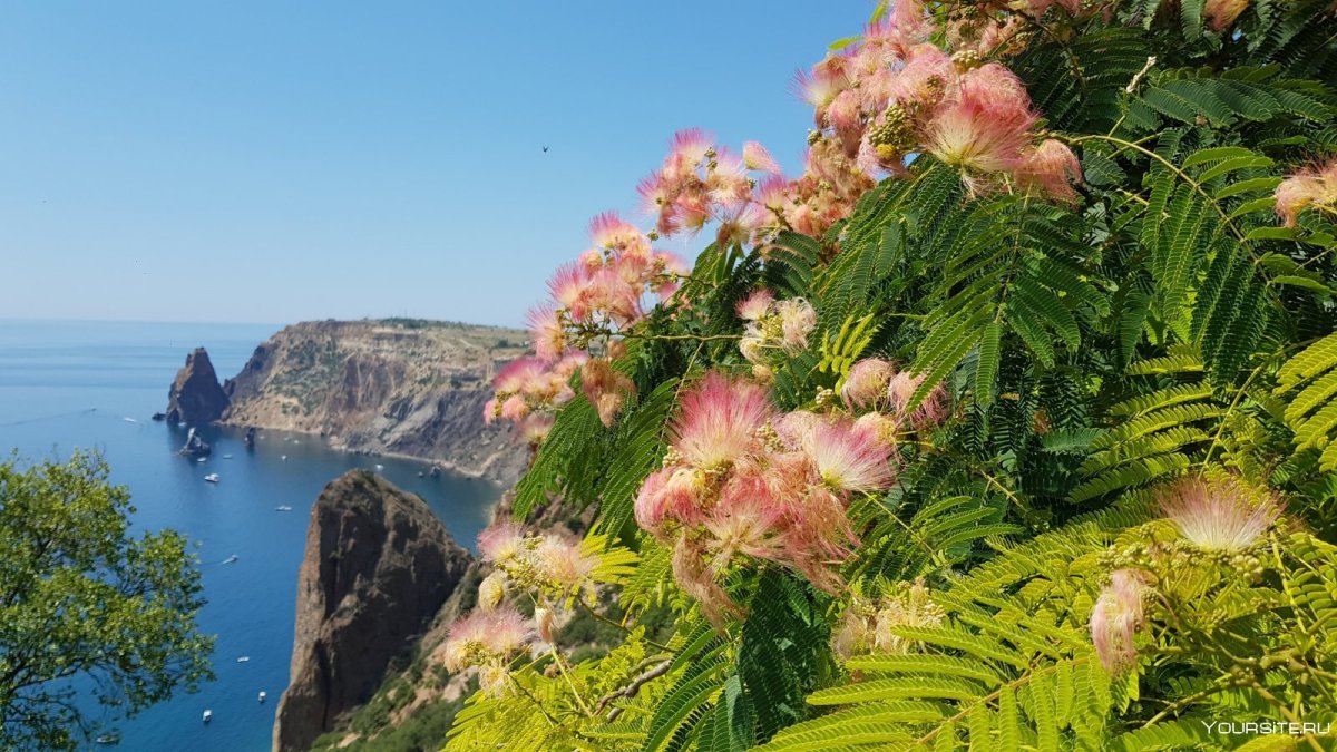 Фотогид по Крыму
