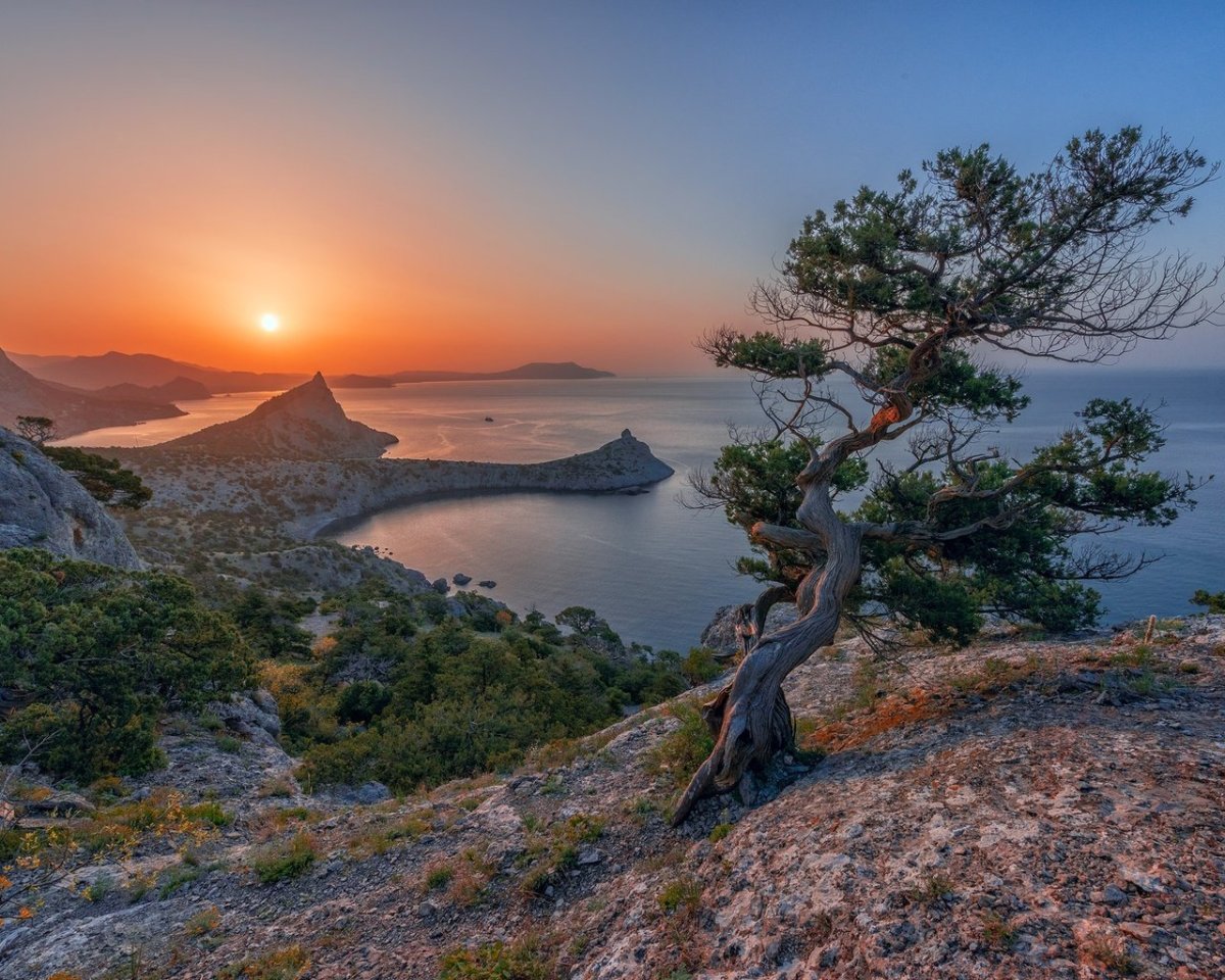 Крым море горы сосна мыс Капчик