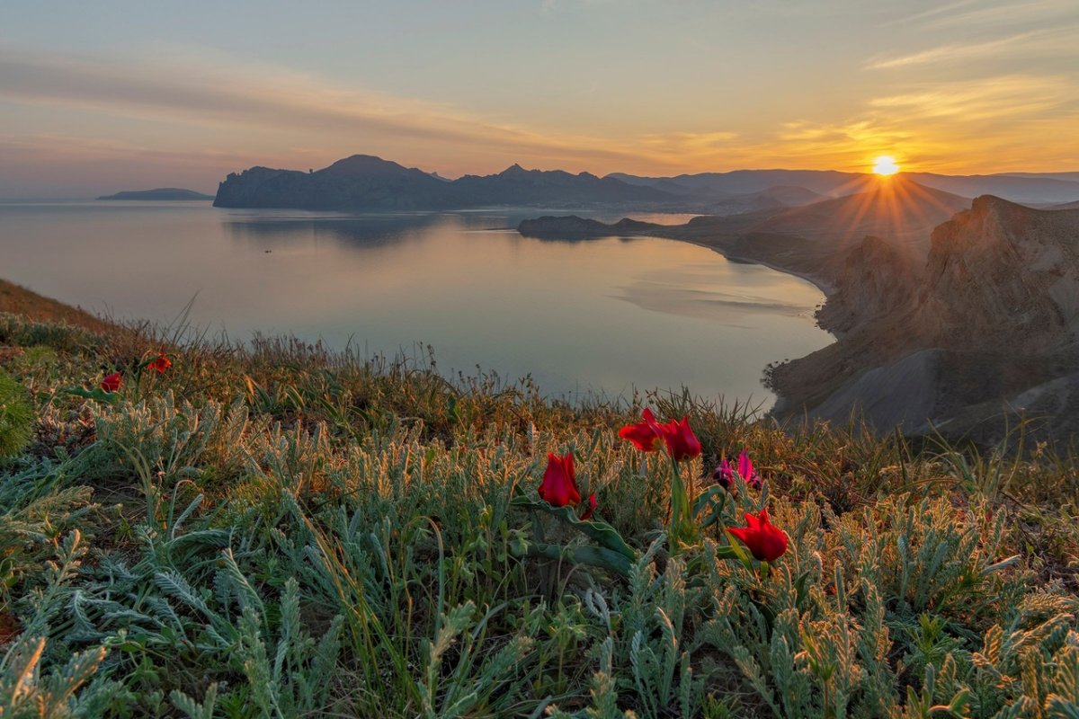 Коктебель природа Коктебель Крым