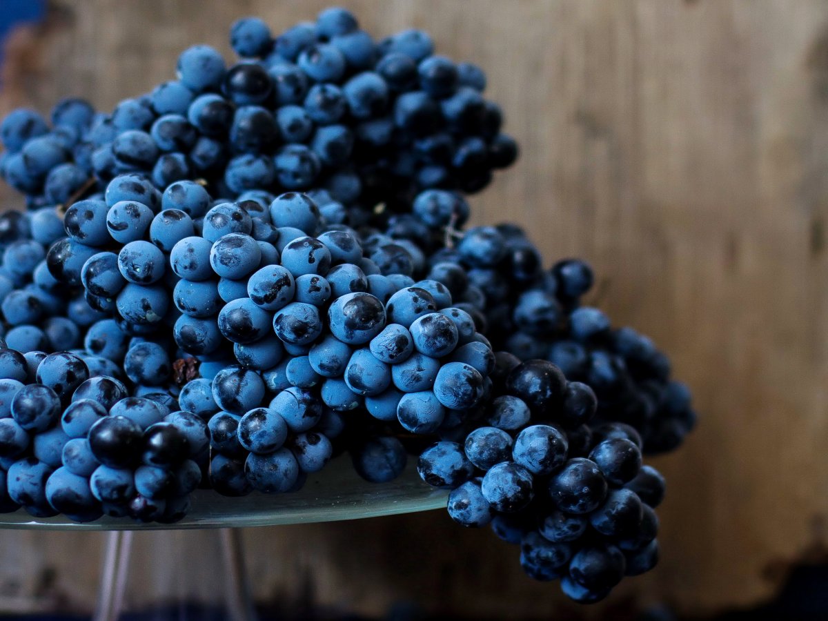 Blueberry виноград