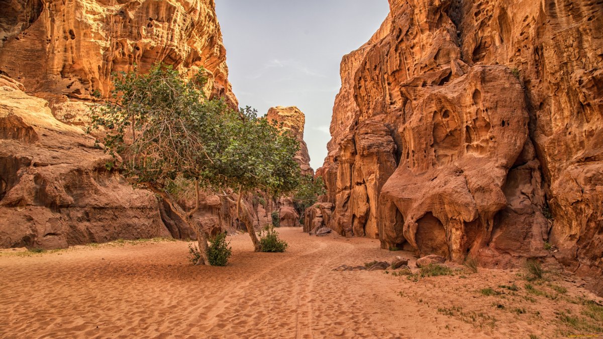 Иордания историческое место Wadi Ram