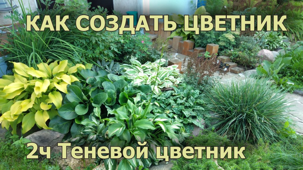 Клумбы 2022