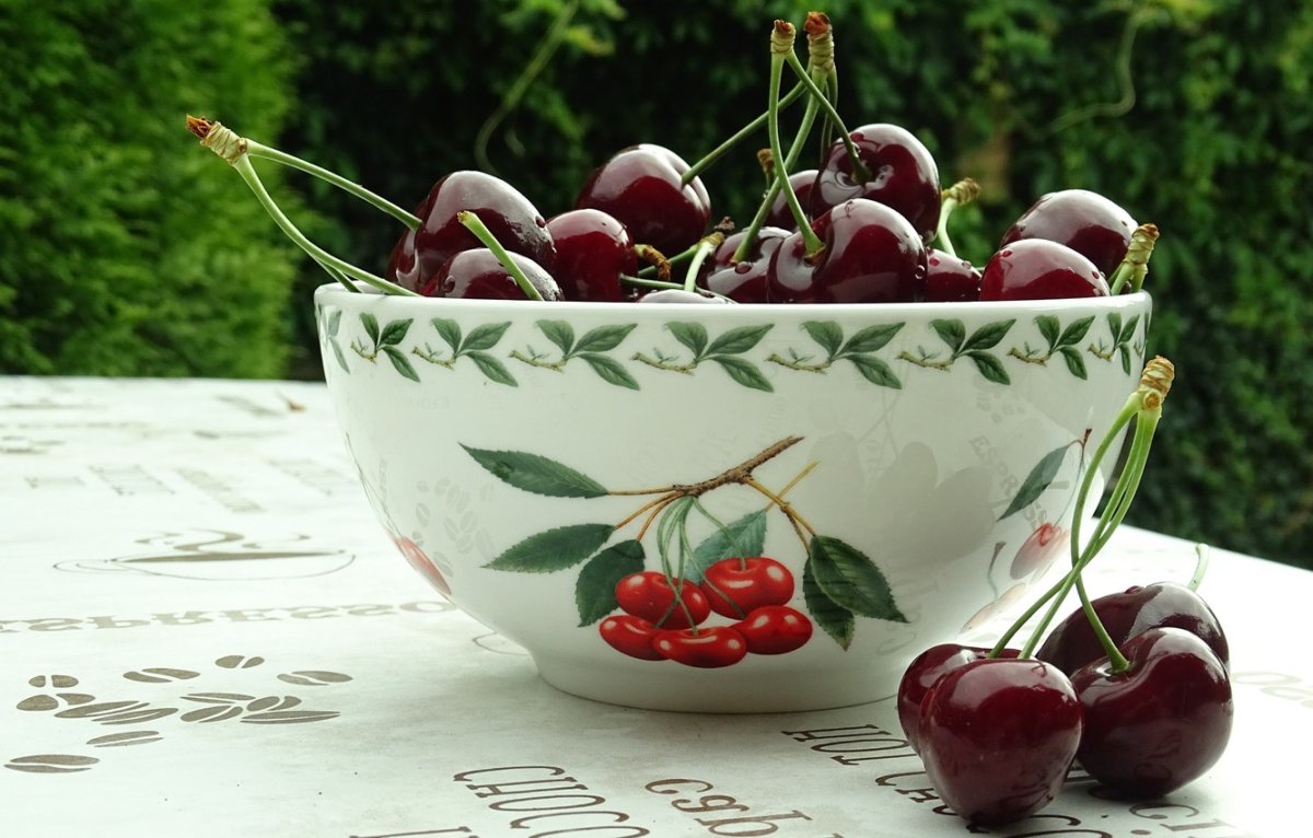 Вишня и черешня