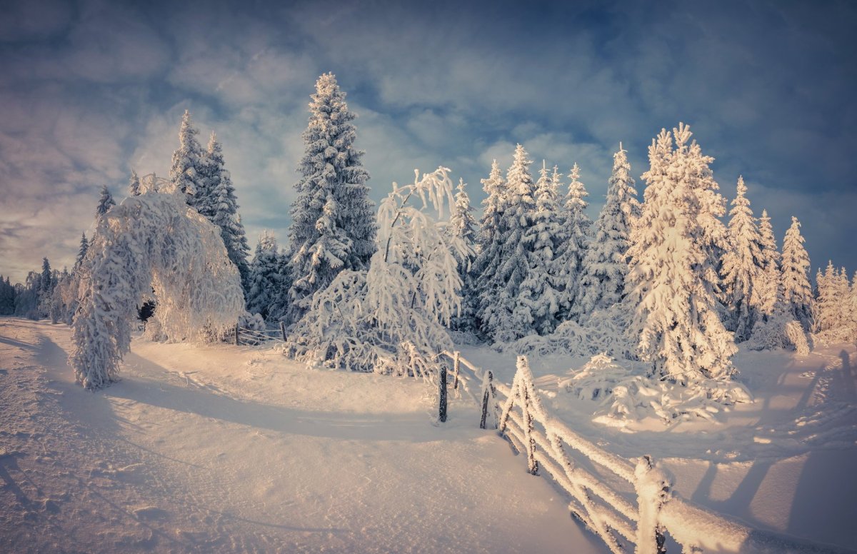 Зимняя природа