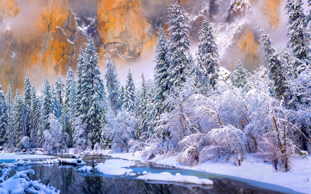 Сказочный зимний лес