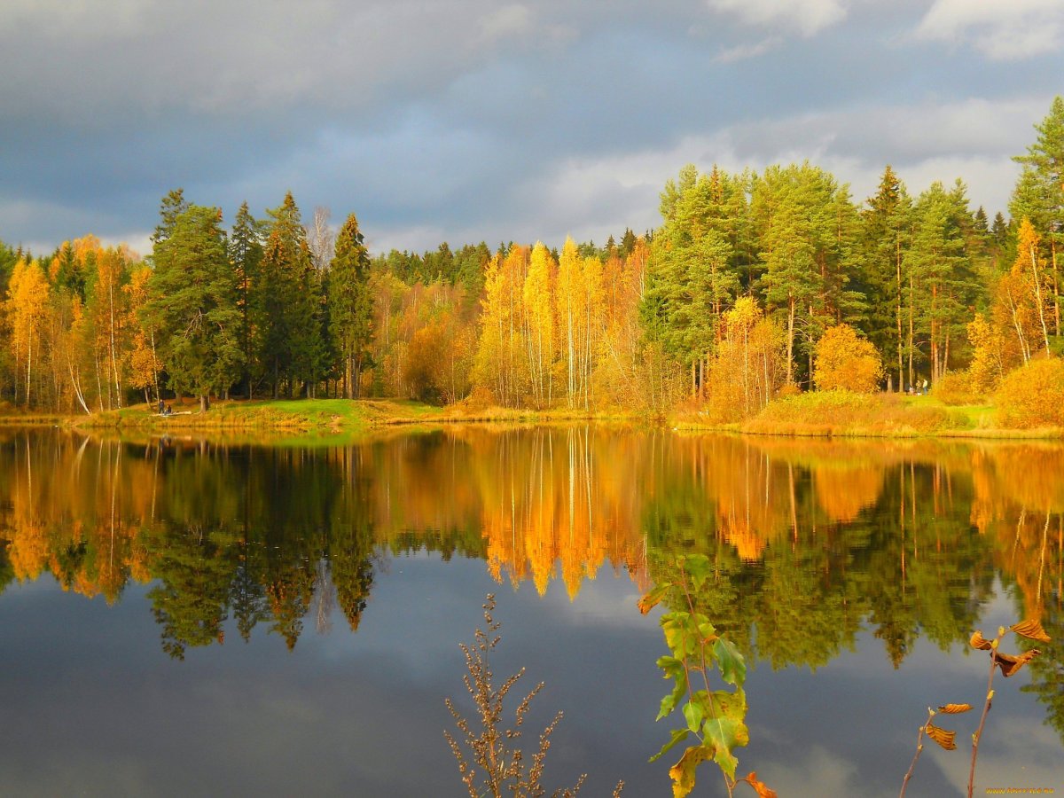 Осенний лес отражение